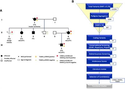 Whole Genome Sequencing Prioritizes CHEK2, EWSR1, and TIAM1 as Possible Predisposition Genes for Familial Non-Medullary Thyroid Cancer